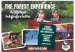 Afbeelding Forest Lodge - Forest Experience